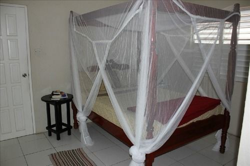 מלון Bequia Island Keegans Beachside מראה חיצוני תמונה