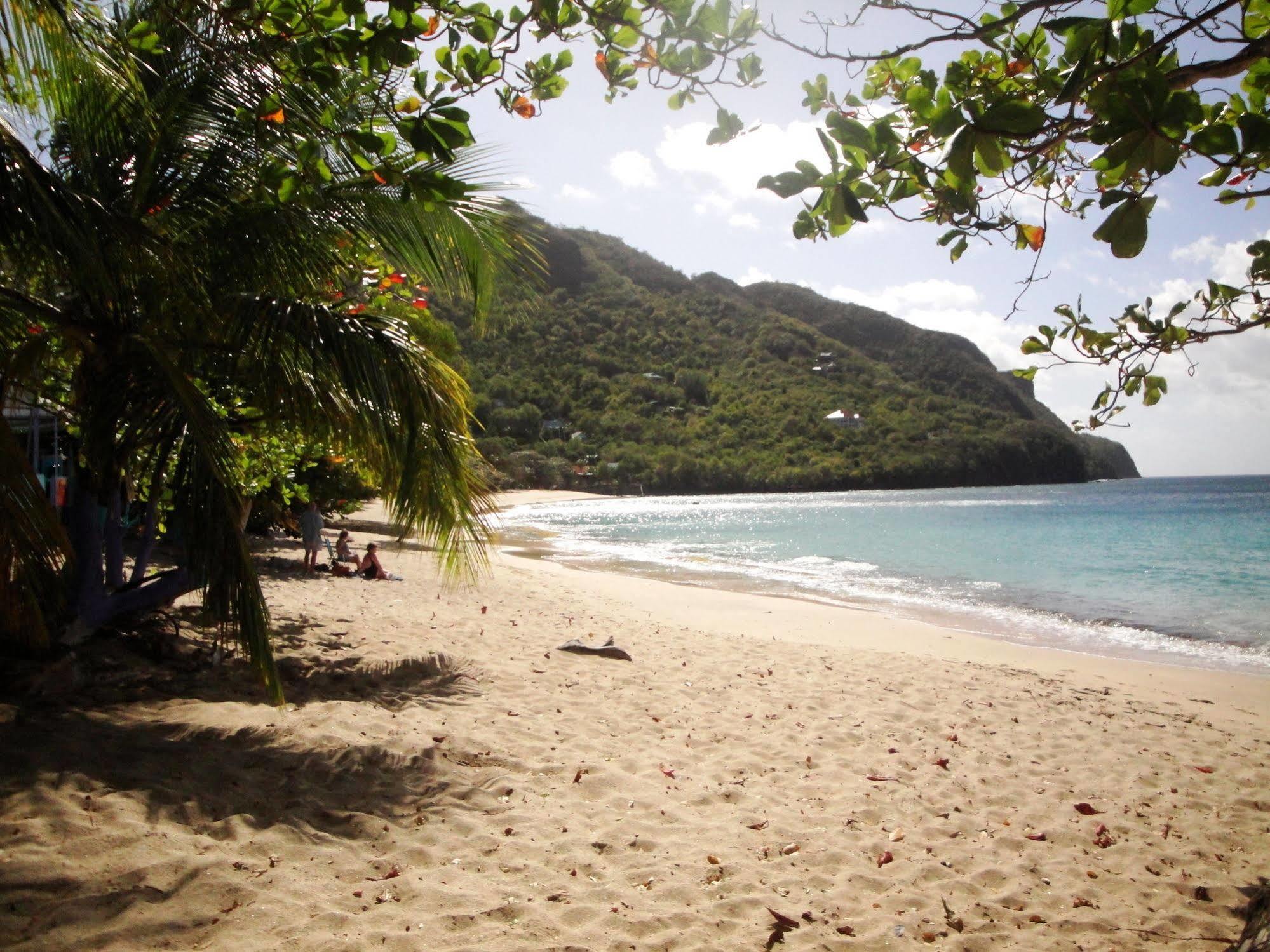 מלון Bequia Island Keegans Beachside מראה חיצוני תמונה